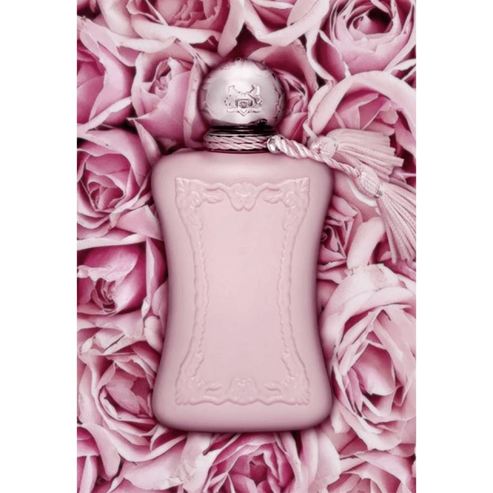 1da768f1-c369-479b-9799-843391853e44-1000x1000-Kbs7HHcrffzb1ooC3tPeTT2iSgKGtQkG3wiCuXTl.png عطر ديلينا من بارفيومز دي مارلي للنساء - او دي برفيوم 75 مل - الصورة 1