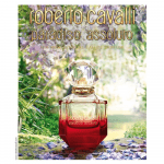 عطر باراديسو أوسولوتو من روبرتو كفالي للنساء - او دي بارفيوم 75 مل