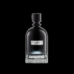 عطر ونس فيرودي اودي بارفيوم انتينس - 100 مل