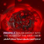 ⁦غارنييه صبغة الشعر اوليا دائمة وخالية من الامونيا - أشقر فاتح رمادي⁩ - الصورة ⁦8⁩
