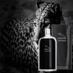 ⁦جاغوار عطر كلاسيك بلاك للرجال - او دو تواليت100مل⁩ - الصورة ⁦3⁩