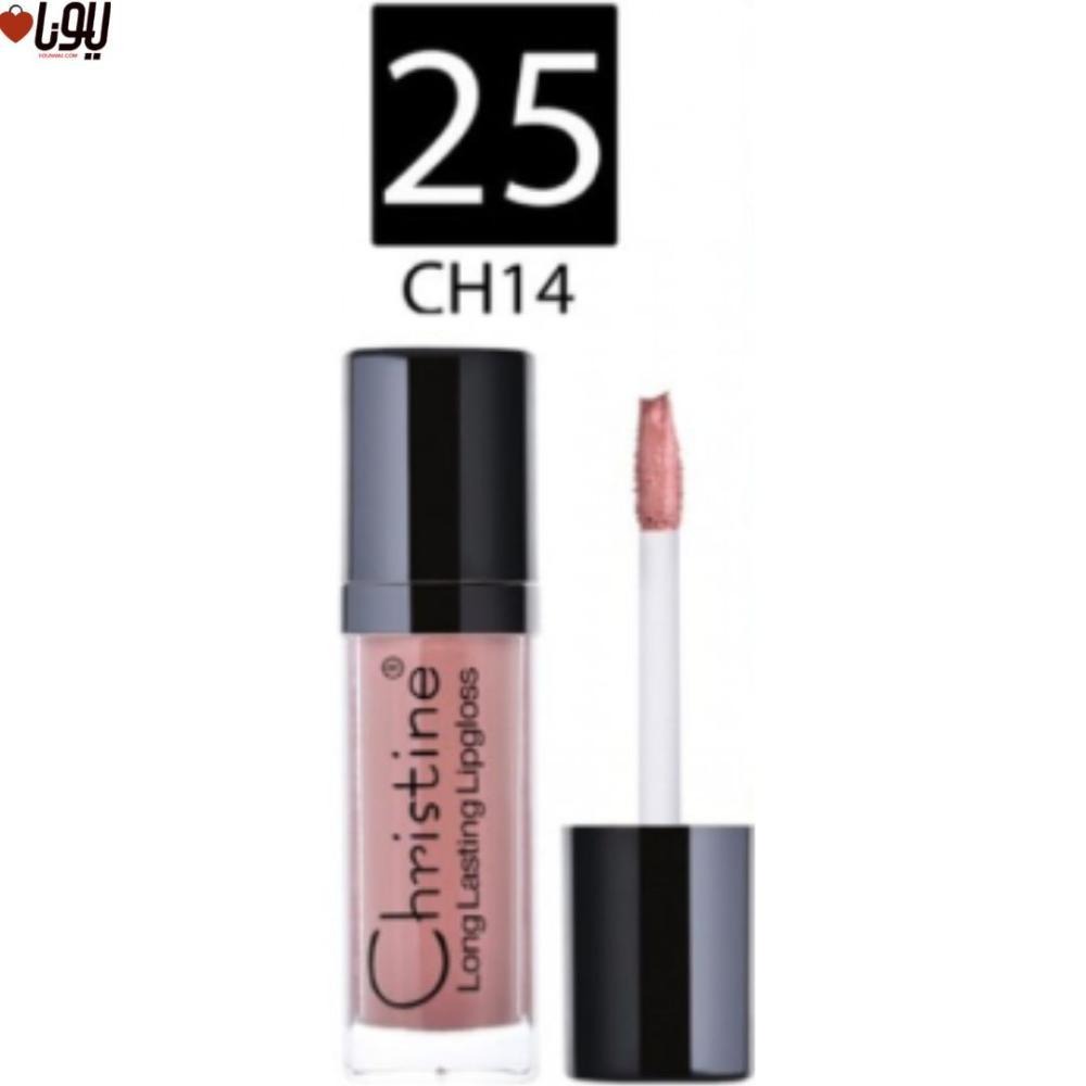 f49ebceb-30b4-45cd-8c8b-87dc9331af3a-1000x1000-tZvlZPGv1k543d5VEGwTYugxl08c7kdCCYCmMmbH.jpg روج سائل مطفي من كرستين W25 - الصورة 1